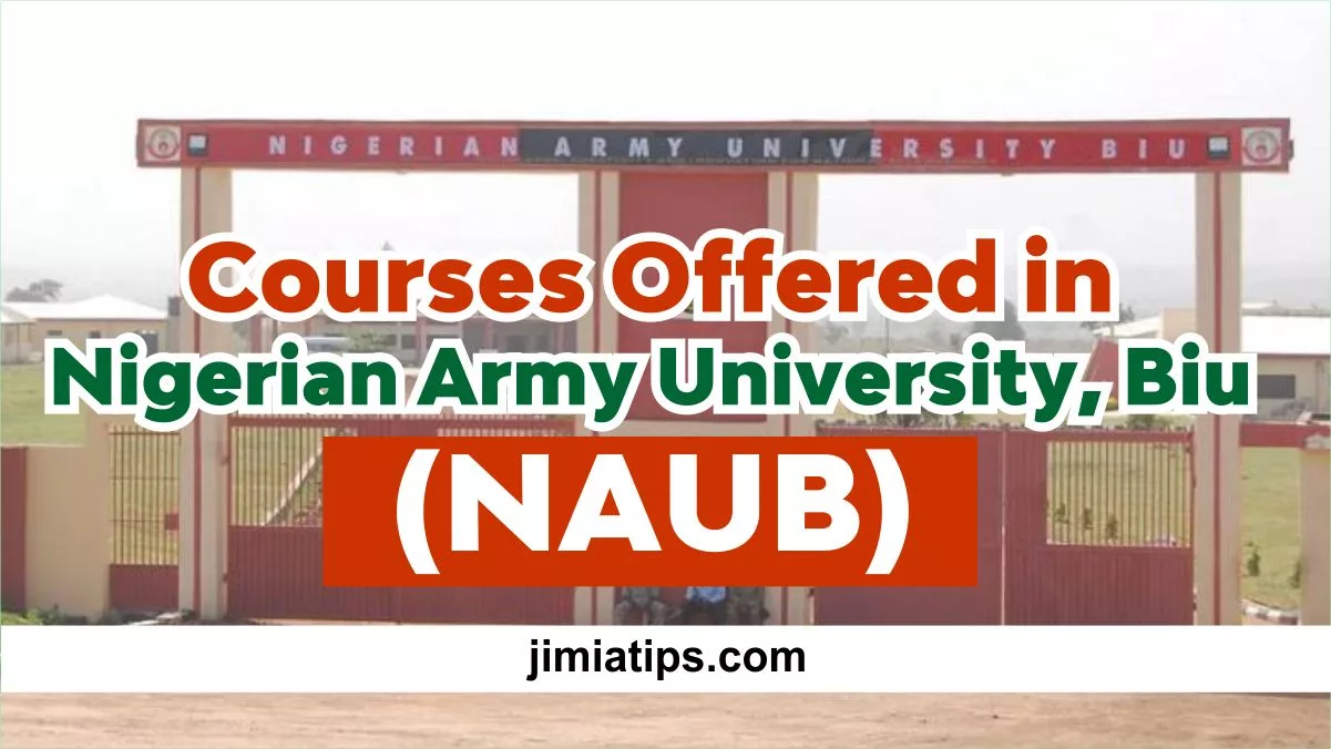 Courses Offered in Nigerian Army University, Biu (NAUB)