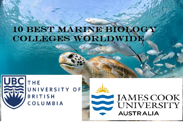 Best Marine Biology Colleges Worldwide 2